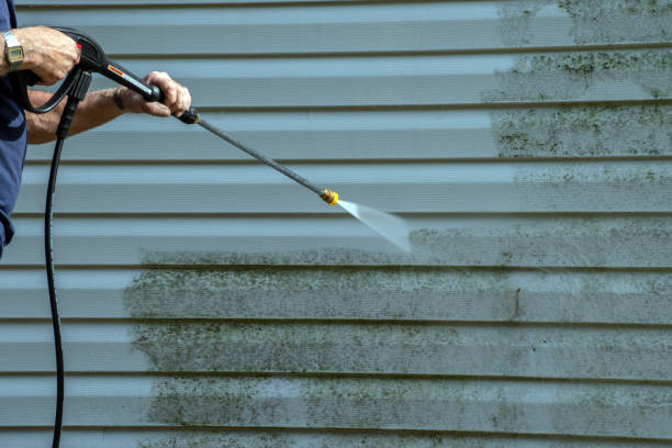 Best Pool Deck Cleaning  in Stevensville, MT