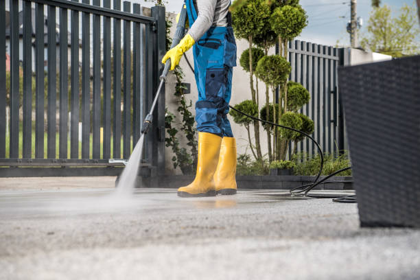 Best Sidewalk and Walkway Cleaning  in Stevensville, MT